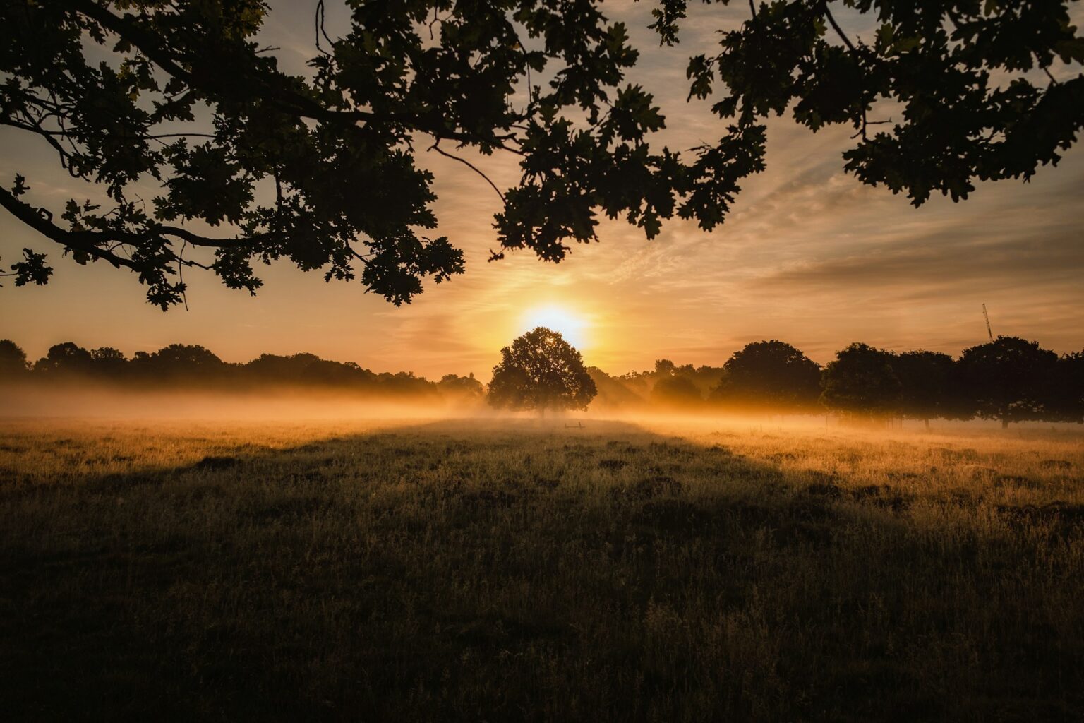 Hoe vaak past de aarde in de zon?